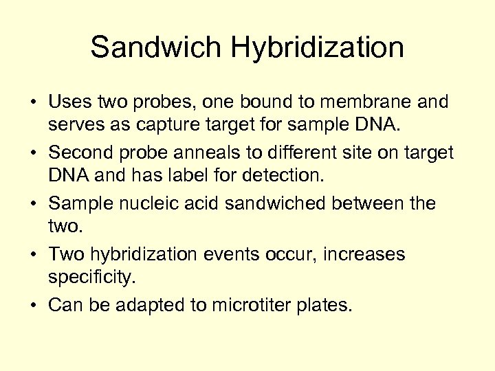 Sandwich Hybridization • Uses two probes, one bound to membrane and serves as capture