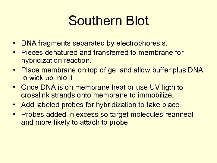 Southern Blot • DNA fragments separated by electrophoresis. • Pieces denatured and transferred to