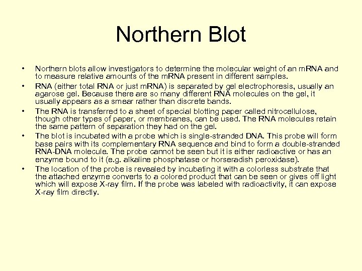 Northern Blot • • • Northern blots allow investigators to determine the molecular weight