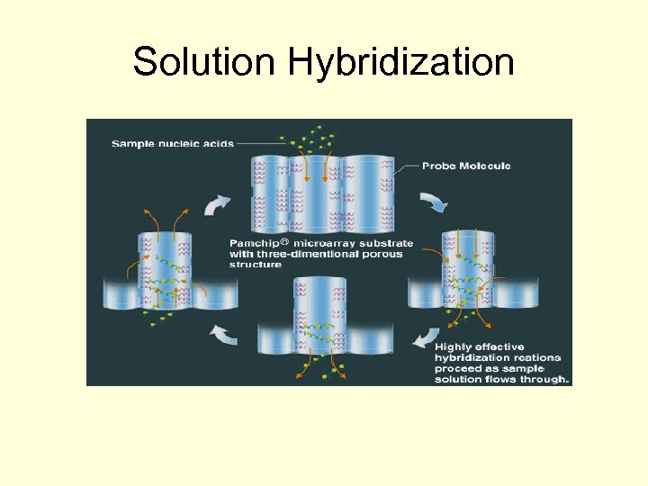 Solution Hybridization 