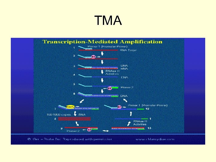 TMA 