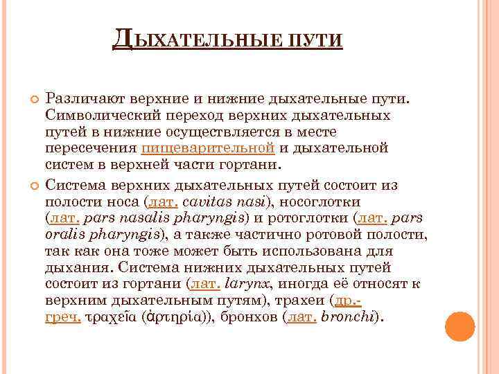 ДЫХАТЕЛЬНЫЕ ПУТИ Различают верхние и нижние дыхательные пути. Символический переход верхних дыхательных путей в