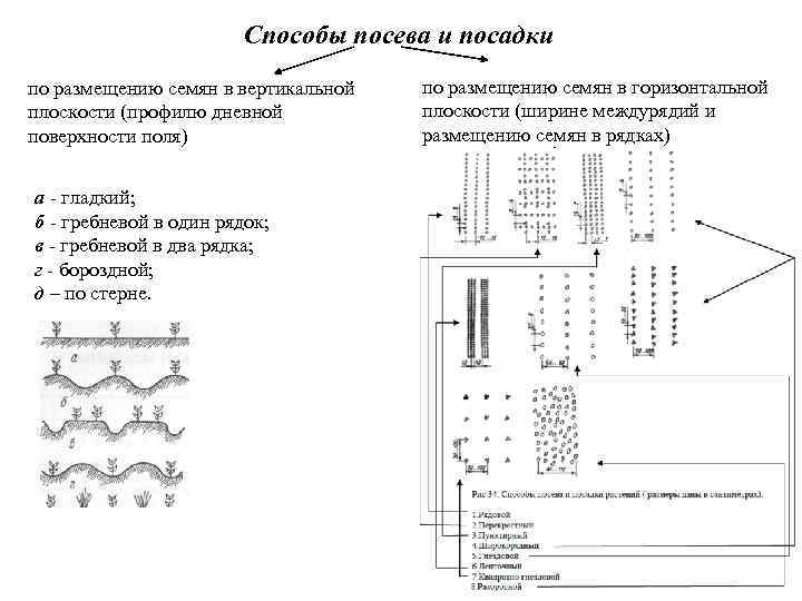 Способы посева и посадки по размещению семян в вертикальной плоскости (профилю дневной поверхности поля)