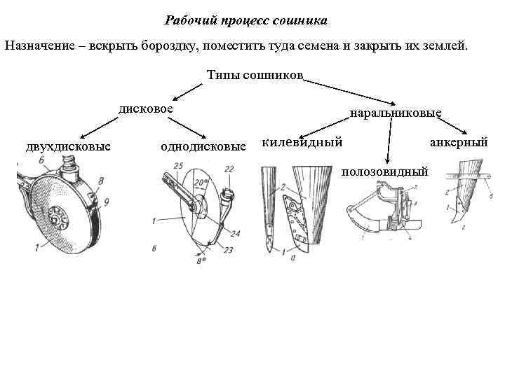 Рабочий процесс сошника Назначение – вскрыть бороздку, поместить туда семена и закрыть их землей.