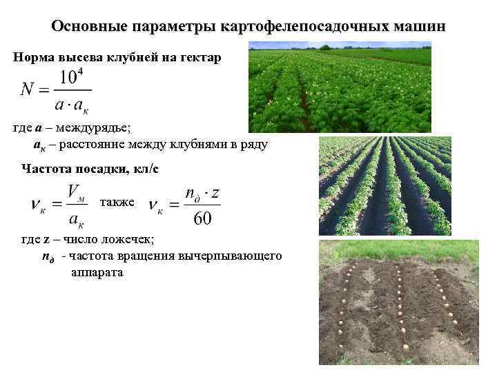 Основные параметры картофелепосадочных машин Норма высева клубней на гектар где а – междурядье; ак