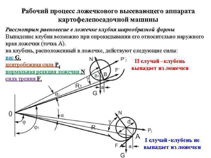 Рабочий процесс ложечкового высевающего аппарата картофелепосадочной машины Рассмотрим равновесие в ложечке клубня шарообразной формы