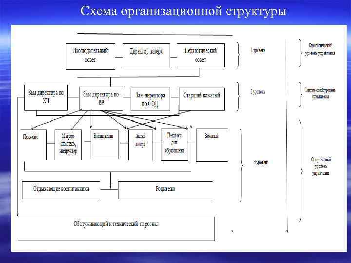 Схема организационной структуры 