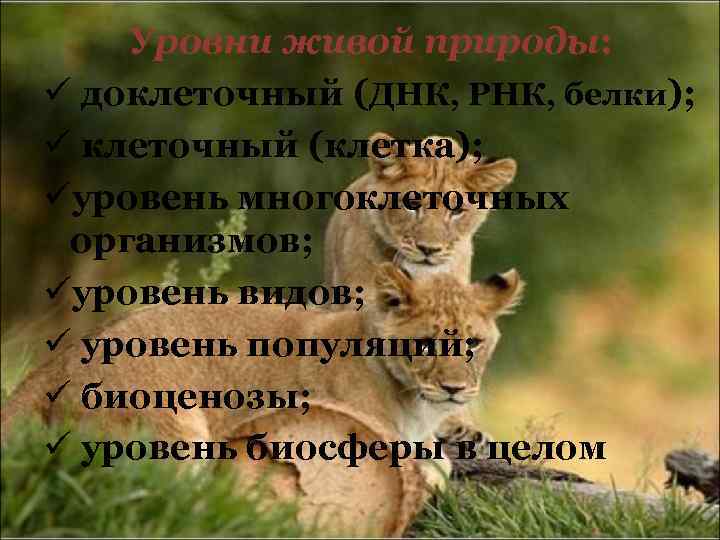 Уровни живой природы: ü доклеточный (ДНК, РНК, белки); ü клеточный (клетка); üуровень многоклеточных организмов;