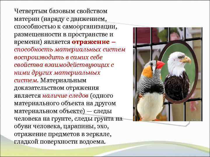 Четвертым базовым свойством материи (наряду с движением, способностью к самоорганизации, размещенности в пространстве и