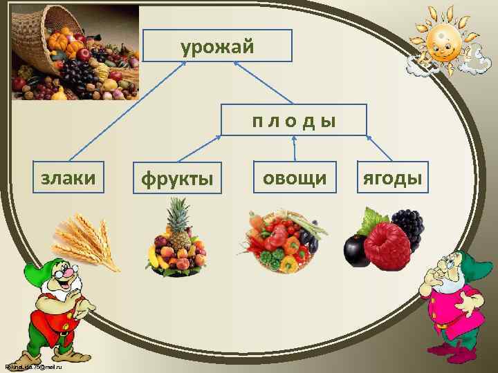 урожай п л о д ы злаки Fokina. Lida. 75@mail. ru фрукты овощи ягоды