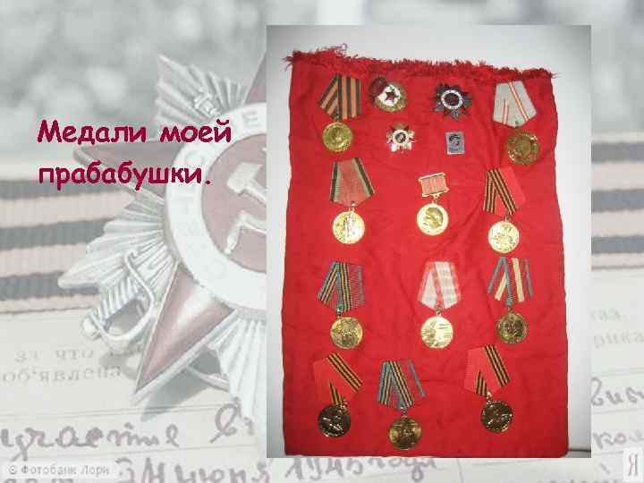 Медали моей прабабушки. 