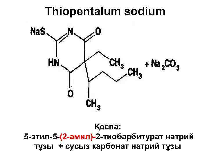 Thiopentalum sodium Қоспа: 5 -этил-5 -(2 -амил)-2 -тиобарбитурат натрий тұзы + сусыз карбонат натрий