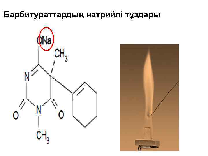 Барбитураттардың натрийлі тұздары 
