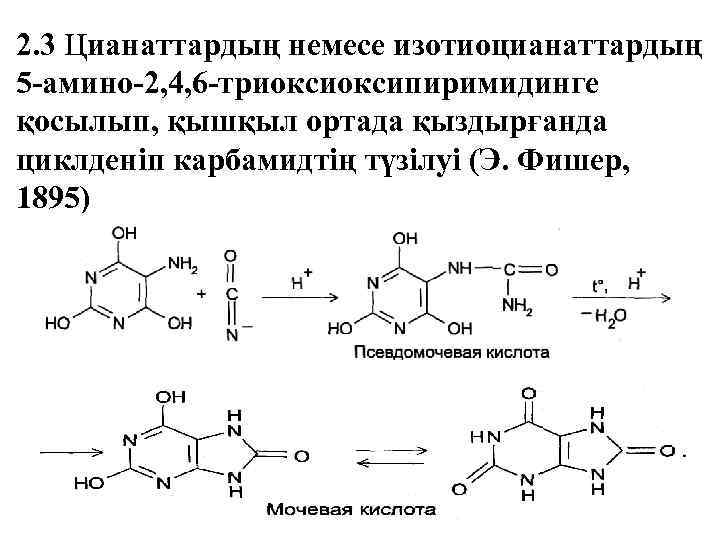 2. 3 Цианаттардың немесе изотиоцианаттардың 5 -амино-2, 4, 6 -триоксипиримидинге қосылып, қышқыл ортада қыздырғанда