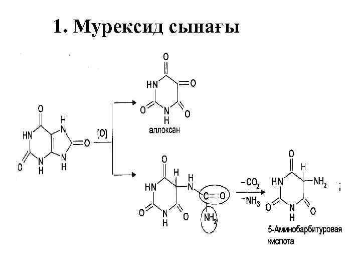 1. Мурексид сынағы 