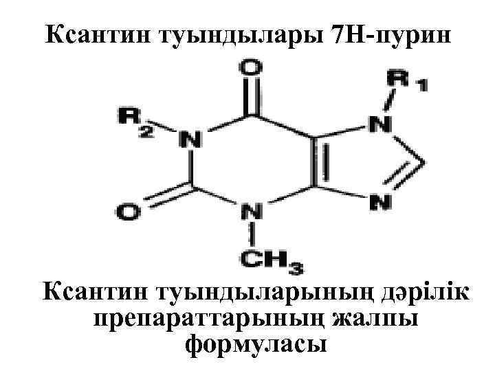 Пурины это