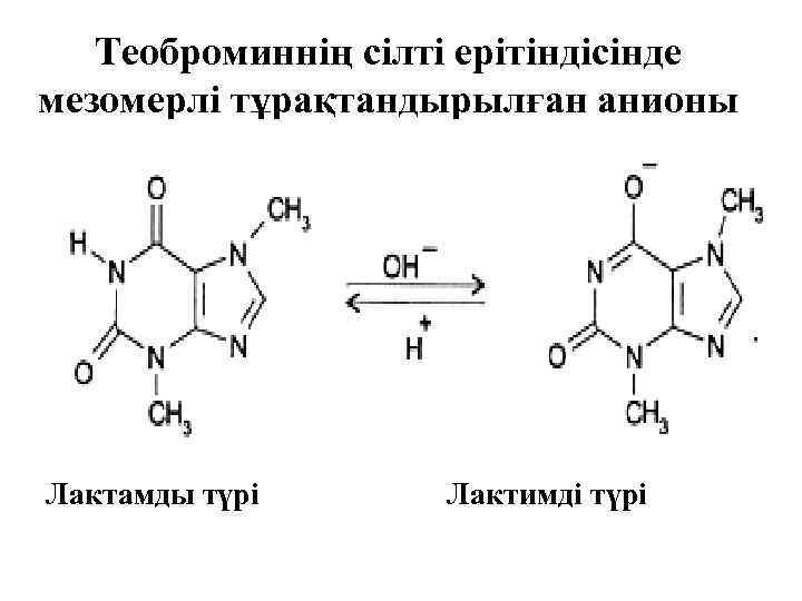 Теоброминнің сілті ерітіндісінде мезомерлі тұрақтандырылған анионы Лактамды түрі Лактимді түрі 