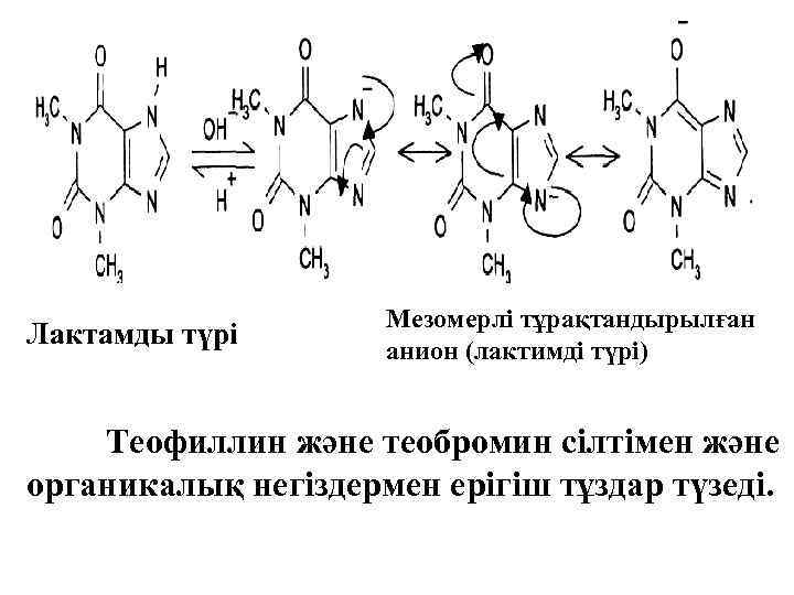 Лактамды түрі Мезомерлі тұрақтандырылған анион (лактимді түрі) Теофиллин және теобромин сілтімен және органикалық негіздермен