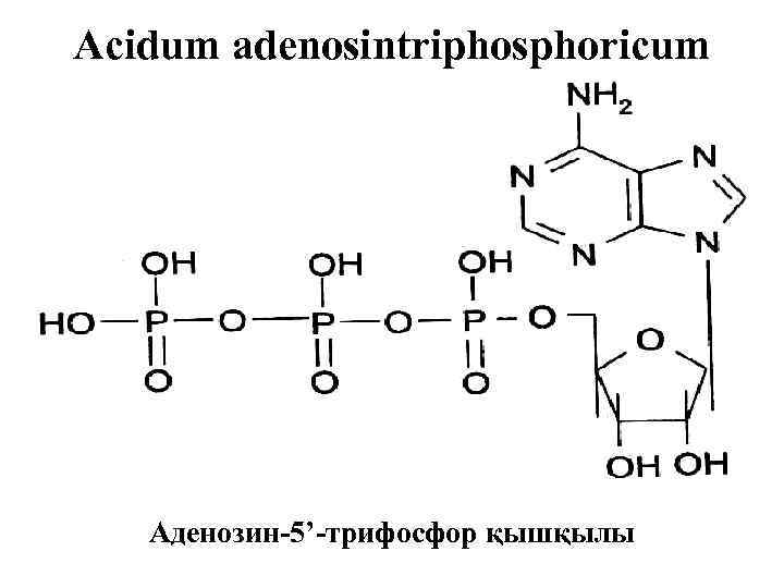 Acidum adenosintriphosphoricum Аденозин-5’-трифосфор қышқылы 