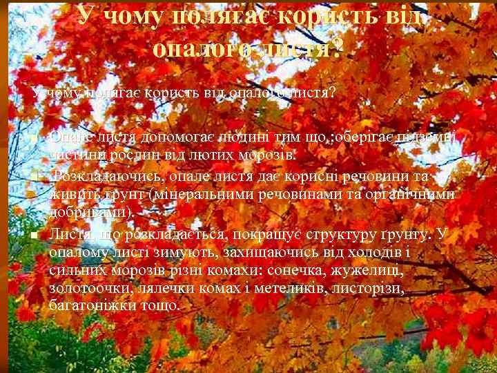 У чому полягає користь від опалого листя? n n n Опале листя допомогає людині