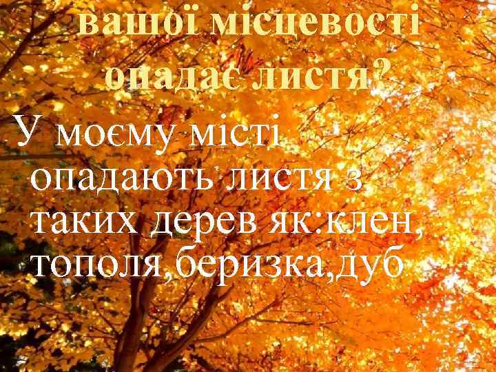 вашої місцевості опадає листя? У моєму місті опадають листя з таких дерев як: клен,