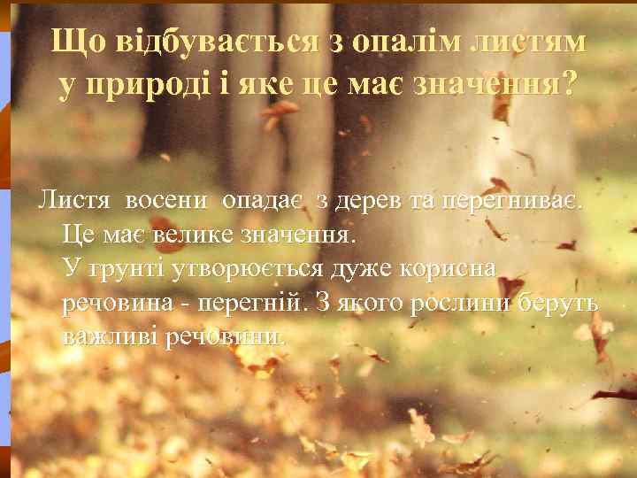 Що відбувається з опалім листям у природі і яке це має значення? Листя восени