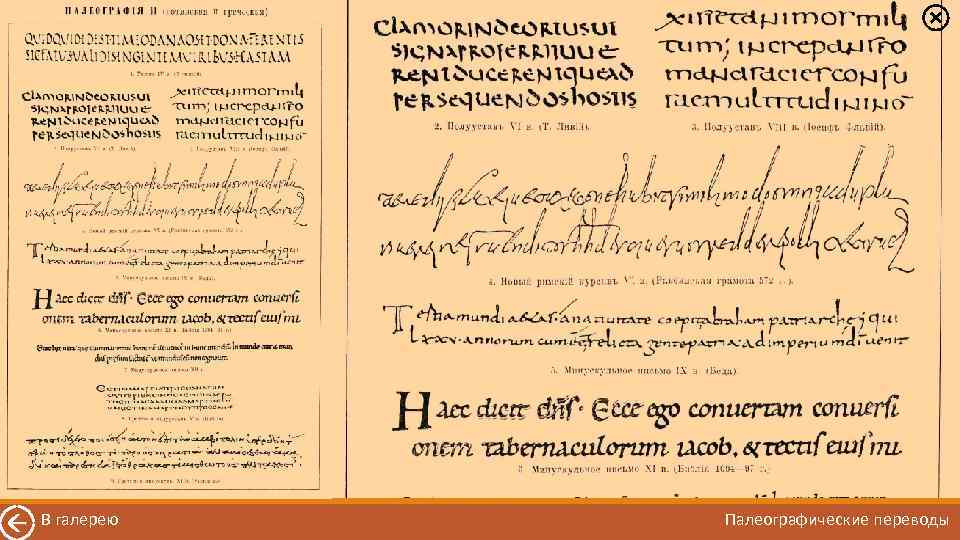 В галерею Палеографические переводы 