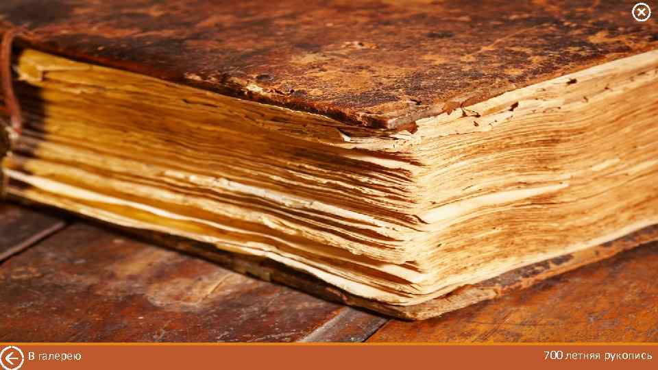 В галерею 700 летняя рукопись 