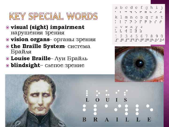 visual (sight) impairment – нарушения зрения vision organs– органы зрения the Braille System система