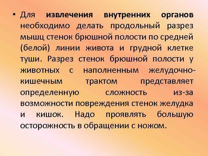  • Для извлечения внутренних органов необходимо делать продольный разрез мышц стенок брюшной полости