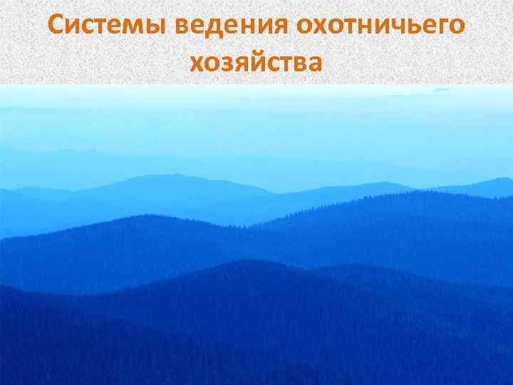 Системы ведения охотничьего хозяйства 