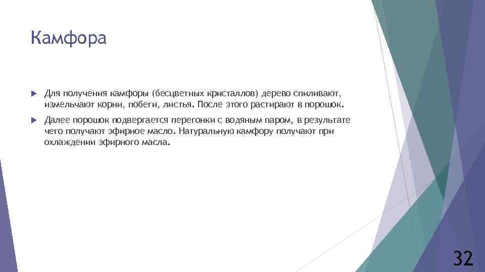 Камфора Для получения камфоры (бесцветных кристаллов) дерево спиливают, измельчают корни, побеги, листья. После этого