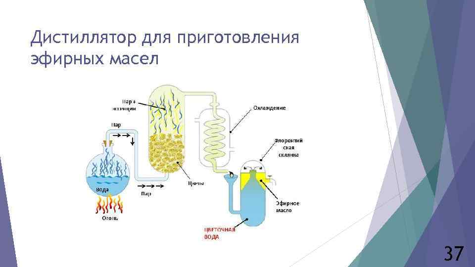 Дистиллятор для приготовления эфирных масел 37 