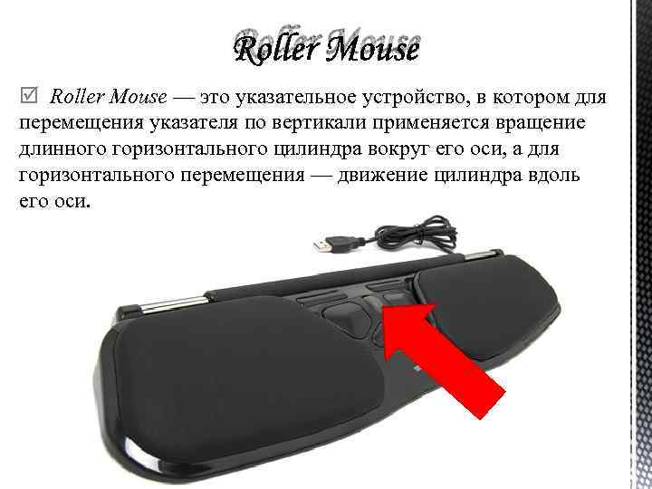 Roller Mouse — это указательное устройство, в котором для перемещения указателя по вертикали применяется