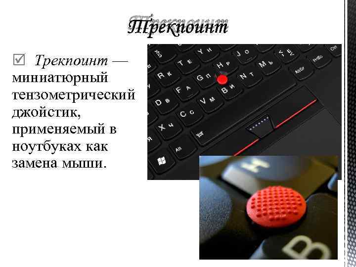 Трекпоинт — миниатюрный тензометрический джойстик, применяемый в ноутбуках как замена мыши. 