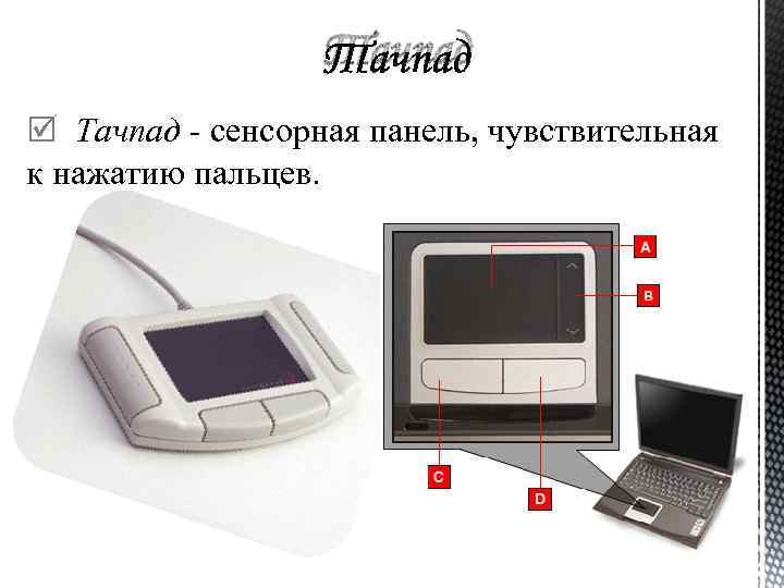 Тачпад сенсорная панель, чувствительная к нажатию пальцев. 