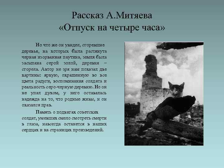 Рассказ А. Митяева «Отпуск на четыре часа» Но что же он увидел, сгоревшие деревья,