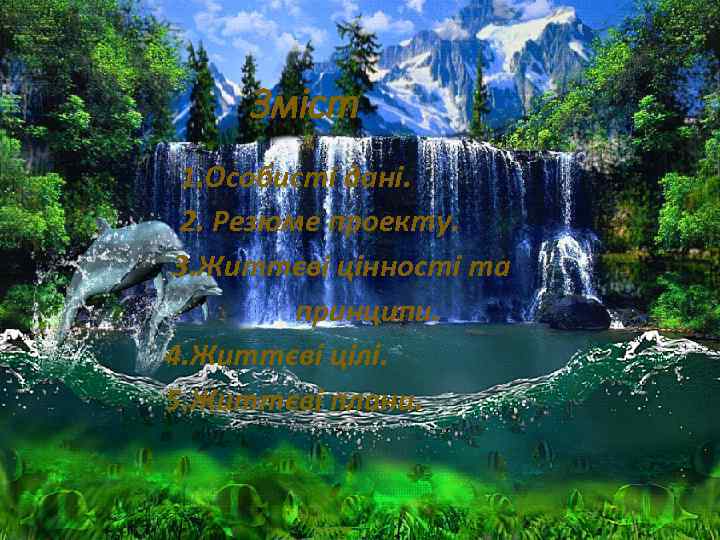 Зміст 1. Особисті дані. 2. Резюме проекту. 3. Життєві цінності та принципи. 4. Життєві