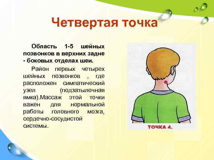Четвертая точка Область 1 -5 шейных позвонков в верхних задне - боковых отделах шеи.