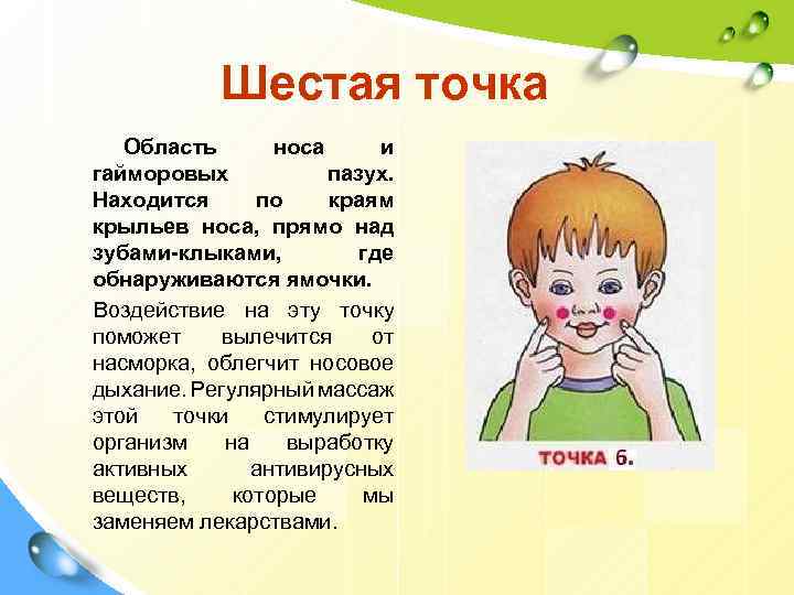 Шестая точка Область носа и гайморовых пазух. Находится по краям крыльев носа, прямо над
