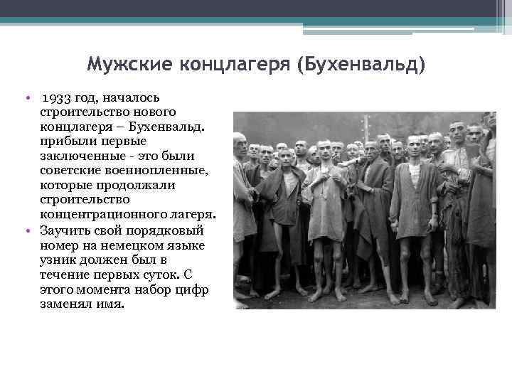 Мужские концлагеря (Бухенвальд) • 1933 год, началось строительство нового концлагеря – Бухенвальд. прибыли первые