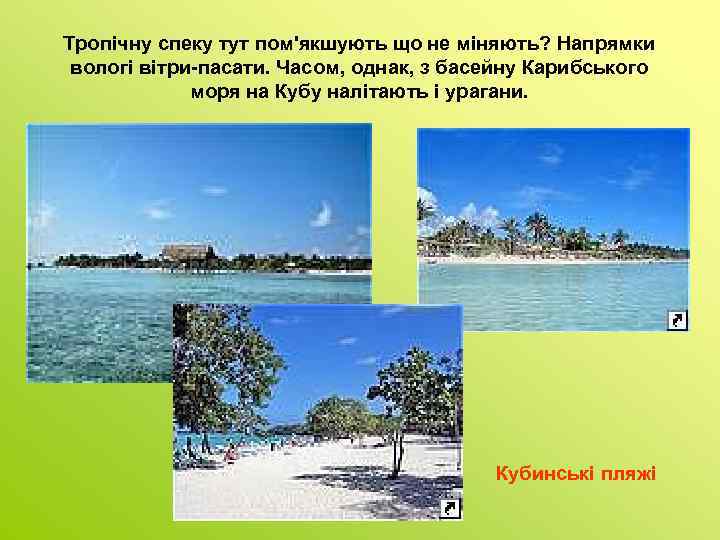 Тропічну спеку тут пом'якшують що не міняють? Напрямки вологі вітри-пасати. Часом, однак, з басейну