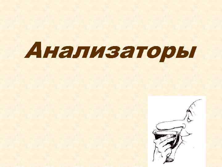 Анализаторы 