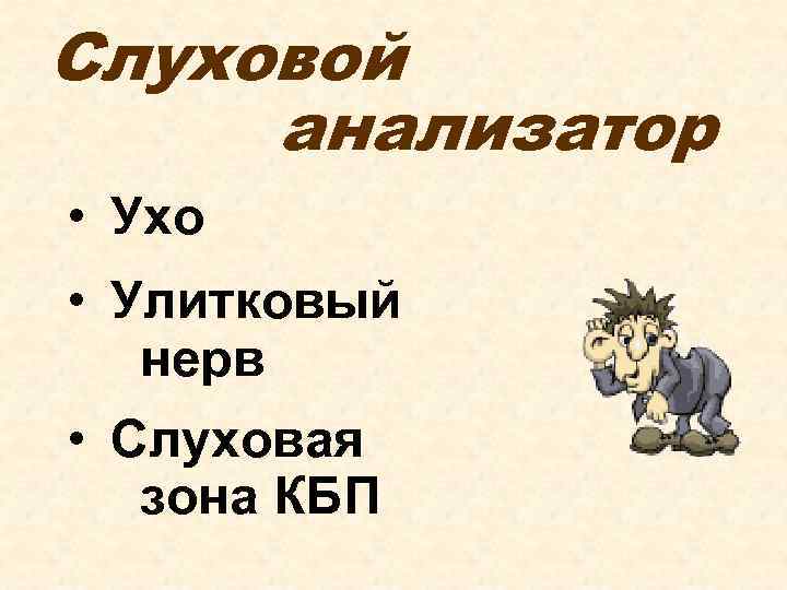 Слуховой анализатор • Ухо • Улитковый нерв • Слуховая зона КБП 