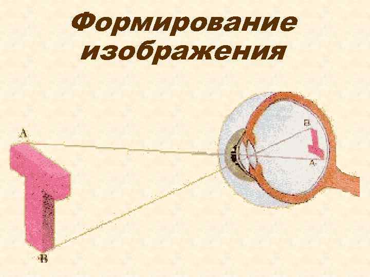 Формирование изображения 