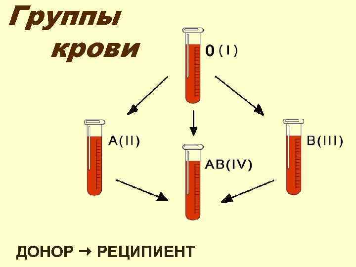 Группы крови ДОНОР РЕЦИПИЕНТ 