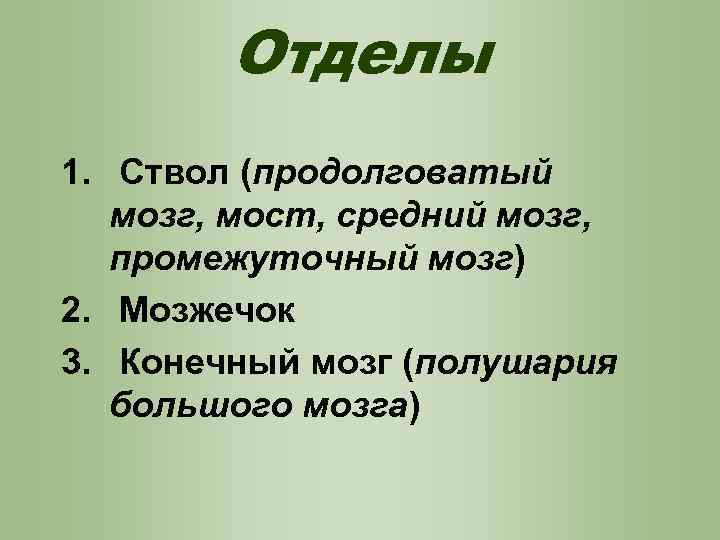 Отделы 1. Ствол (продолговатый мозг, мост, средний мозг, промежуточный мозг) 2. Мозжечок 3. Конечный