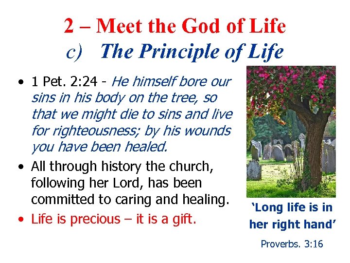 2 – Meet the God of Life c) The Principle of Life • 1
