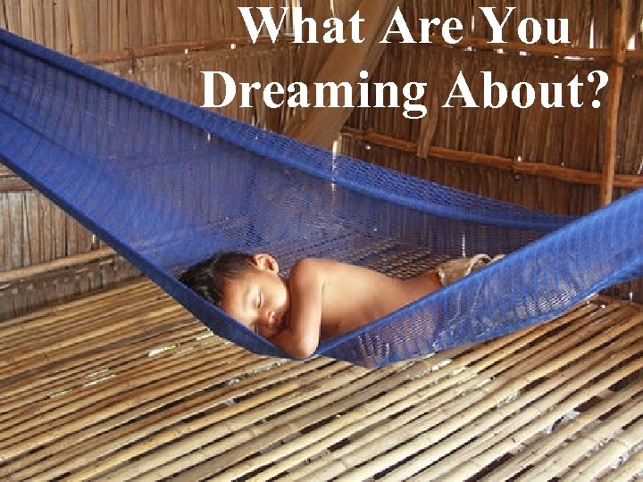 What Are You Dreaming About? 