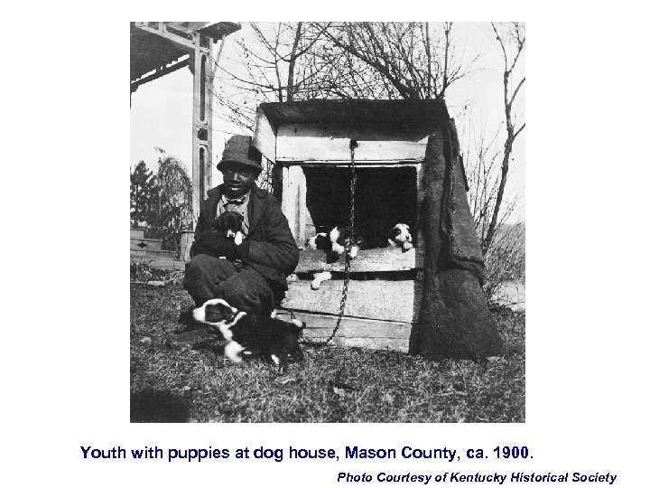 Youth with puppies at dog house, Mason County, ca. 1900. Photo Courtesy of Kentucky